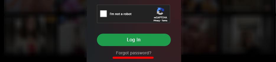 StripChat forgot password